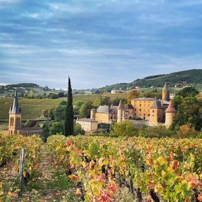 Le Clos Du Botaniste Pouilly-le-Monial エクステリア 写真